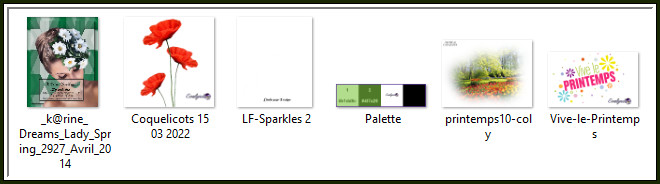 Inhoud Materialen Map