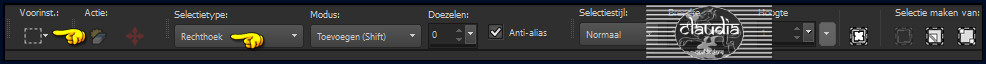 Activeer het Selectiegereedschap (toets S op het toetsenbord) - Rechthoek 
