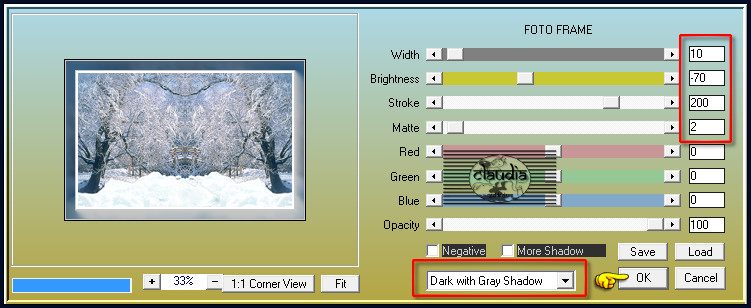 Effecten - Insteekfilters - AAA Frames - Foto Frame