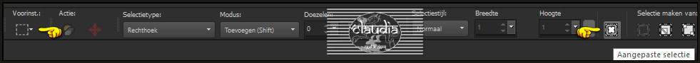 Activeer het Selectiegereedschap (toets S op het toetsenbord) - Aangepaste selectie