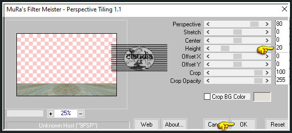 Effecten - Insteekfilters - MuRa's Meister - Perspective Tiling