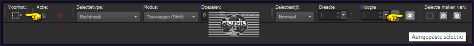 Activeer het Selectiegereedschap (toets S op het toetsenbord) - Aangepaste selectie