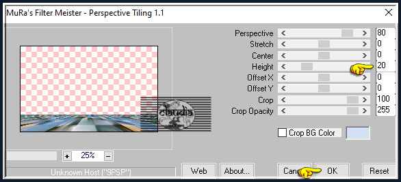 Effecten - Insteekfilters - MuRa's Meister - Perspective Tiling :