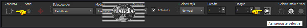 Activeer het Selectiegereedschap (toets S op het toetsenbord) - Aangepaste selectie