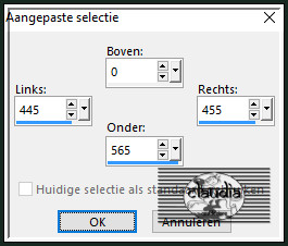 Activeer het Selectiegereedschap (toets S op het toetsenbord) - Aangepaste selectie en voer deze getallen in :