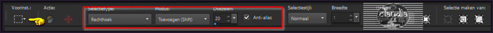 Activeer het Selectiegereedschap - Rechthoek (toets S) met deze instellingen
