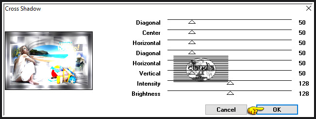 Effecten - Insteekfilters - Graphics Plus - Cross Shadow