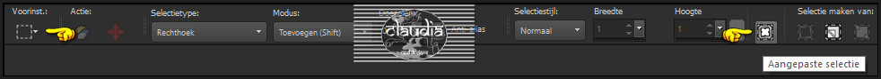 Activeer het Selectiegereedschap (toets S op het toetsenbord) - Aangepaste selectie