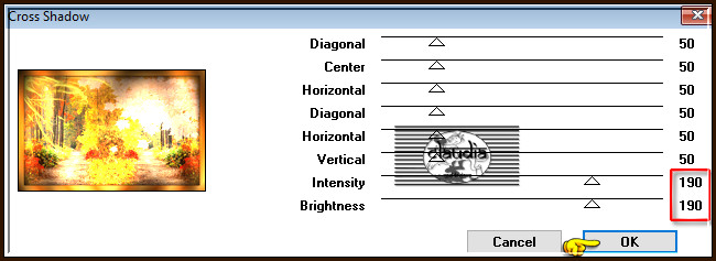 Effecten - Insteekfilters - Graphics Plus - Cross Shadow