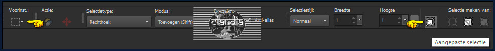 Activeer het Selectiegereedschap (toets S op het toetsenbord) - Aangepaste selectie