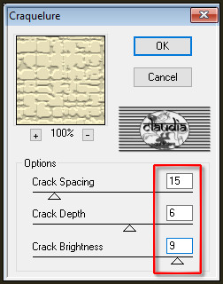 Effecten - Insteekfilters - Texture - Craquelure
