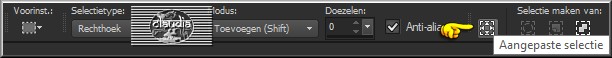 Activeer het Selectiegereedschap (toets S op het toetsenbord) - Aangepaste selectie
