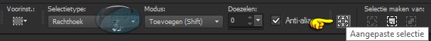 Activeer het "Selectiegereedschap" (druk op de S-toets op het toetsenbord) - Aangepaste selectie