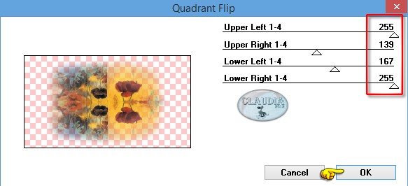 Effecten - Insteekfilters - Mirror Rave - Quadrant Flip