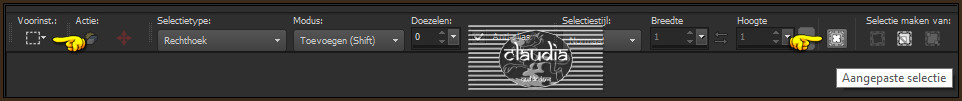 Activeer het Selectiegereedschap (toets S op het toetsenbord) - Aangepaste selectie