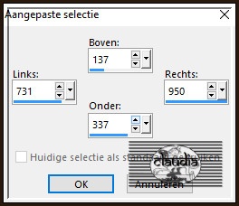 Activeer het Selectiegereedschap (toets S) - Aangepaste selectie en voer deze getallen in