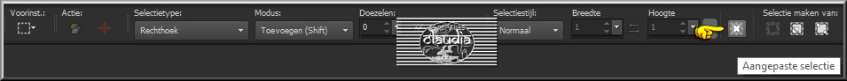 Activeer het Selectiegereedschap (toets S op het toetsenbord) - Aangepaste selectie