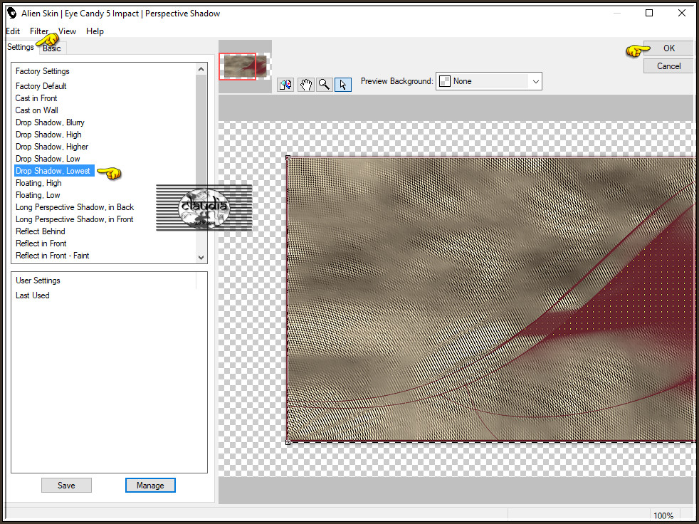 Effecten - Insteekfilters - Alien Skin Eye Candy 5 : Impact - Perspective Shadow