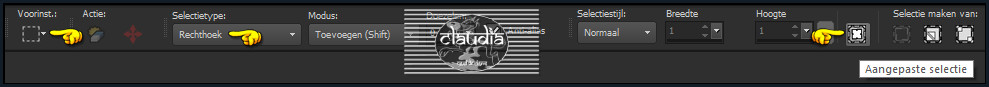 Activeer het Selectiegereedschap (toets S op het toetsenbord) - Aangepaste selectie