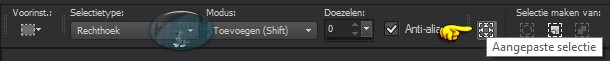 Activeer het Selectiegereedschap (druk op de S toets op het toetsenbord) - Aangepaste selectie 