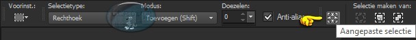 Activeer het Selectiegereedschap (druk hiervoor op de S toets op het toetsenbord) - Aangepaste selectie