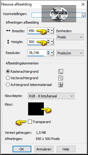 Open een Nieuwe afbeelding van 950 x 500 px, zwart