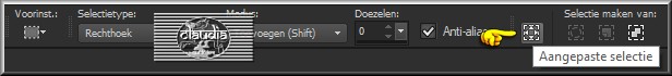 Activeer het Selectiegereedschap (toets S op het toetsenbord) - Aangepaste selectie