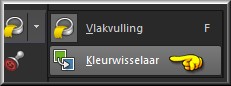 Activeer het gereedschap "Kleurwisselaar"