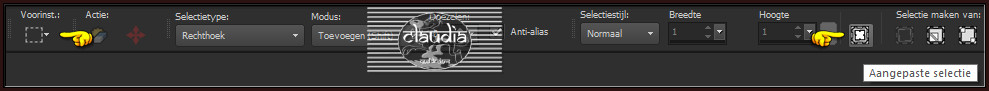 Activeer het Selectiegereedschap (toets S op het toetsenbord) - Aangepaste selectie 
