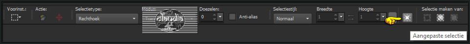 Activeer het Selectiegereedschap (toets S op het toetsenbord) - Aangepaste selectie