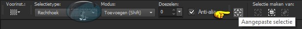 Activeer het Selectiegereedschap (druk hiervoor op de S toets op het toetsenbord) - Aangepaste Selectie
