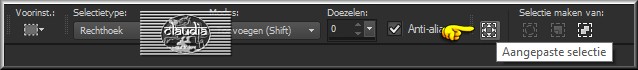 Activeer het Selectiegereedschap (toets S op het toetsenbord) - Aangepaste selectie