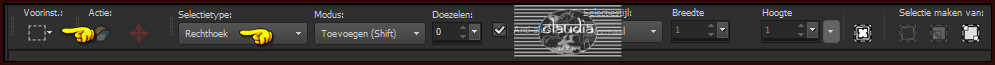 Activeer het Selectiegereedschap (toets S op het toetsenbord) - Aangepaste selectie