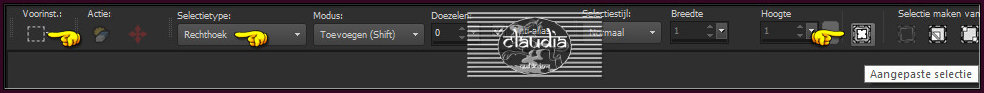 Activeer het Selectiegereedschap (toets S op het toetsenbord) - Aangepaste selectie