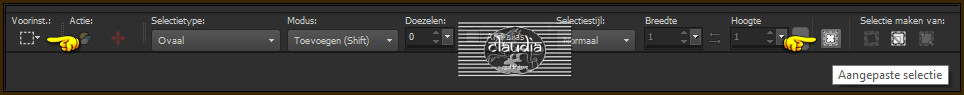 Activeer het Selectiegereedschap (toets S op het toetsenbord) - Aangepaste selectie