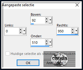 Activeer het Selectiegereedschap (toets S op het toetsenbord) - Aangepaste selectie en voer deze getallen in