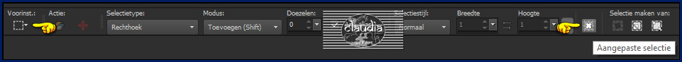 Activeer het Selectiegereedschap (toets S op het toetsenbord) - Aangepaste selectie 