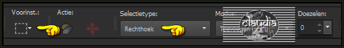 Activeer het Selectiegereedschap (toets S) - Rechthoek 