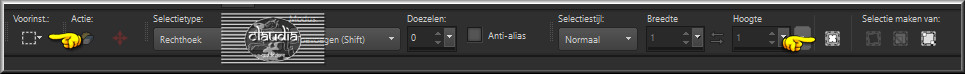 Activeer het Selectiegereedschap (toets S op het toetsenbord) - Aangepaste selectie
