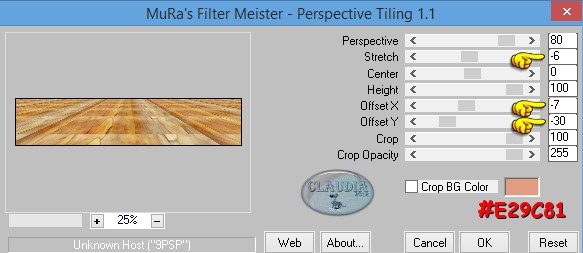 Effecten - Insteekfilters - MuRa's Meister - Perspective Tiling 