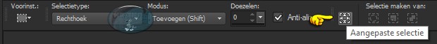 Activeer het Selectiegereedschap (toets S op het toetsenbord) - Aangepaste selectie