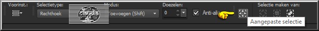 Activeer het Selectiegereedschap (toets S op het toetsenbord) - Aangepaste selectie