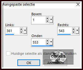 Activeer het Selectiegereedschap (toets S op het toetsenbord) - Aangepaste selectie en voer deze getallen in