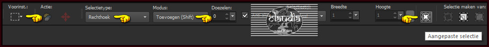 Activeer het Selectiegereedschap (toets S op het toetsenbord) - Aangepaste selectie