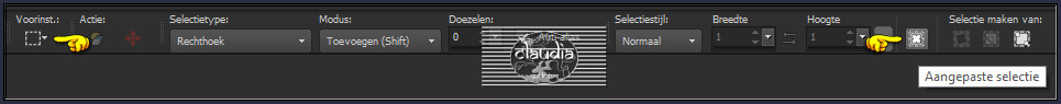 Activeer het Selectiegereedschap (toets S op het toetsenbord) - Aangepaste selectie