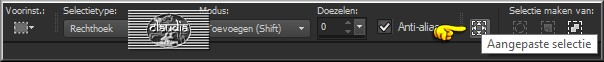 Activeer het Selectiegereedschap (toets S op het toetsenbord) - Aangepaste selectie