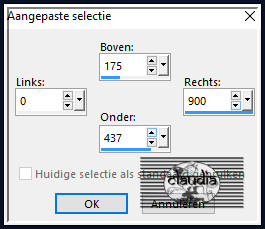 Activeer het Selectiegereedschap (toets S op het toetsenbord) - Aangepaste selectie met deze instellingen