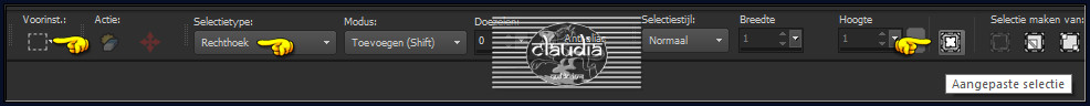Activeer het Selectiegereedschap (toets S op het toetsenbord) - Aangepaste selectie