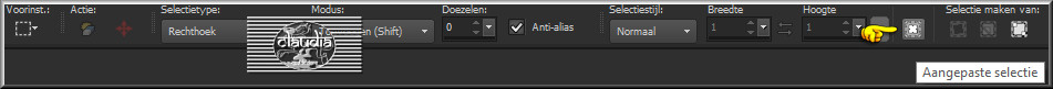 Activeer het Selectiegereedschap (toets S op het toetsenbord) - Aangepaste selectie