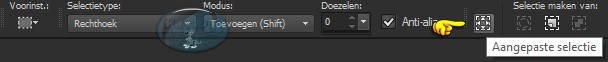 Activeer het Selectiegereedschap (druk op de S toets op het toetsenbord) - Aangepaste selectie